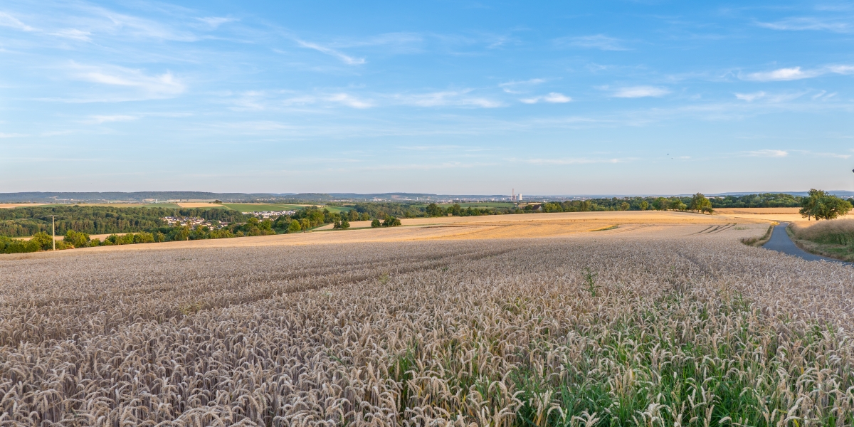 adobestock_2093394207.jpeg